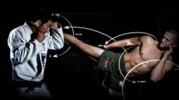 COMBO MORTAL: Jiu Jitsu & Muay Thai